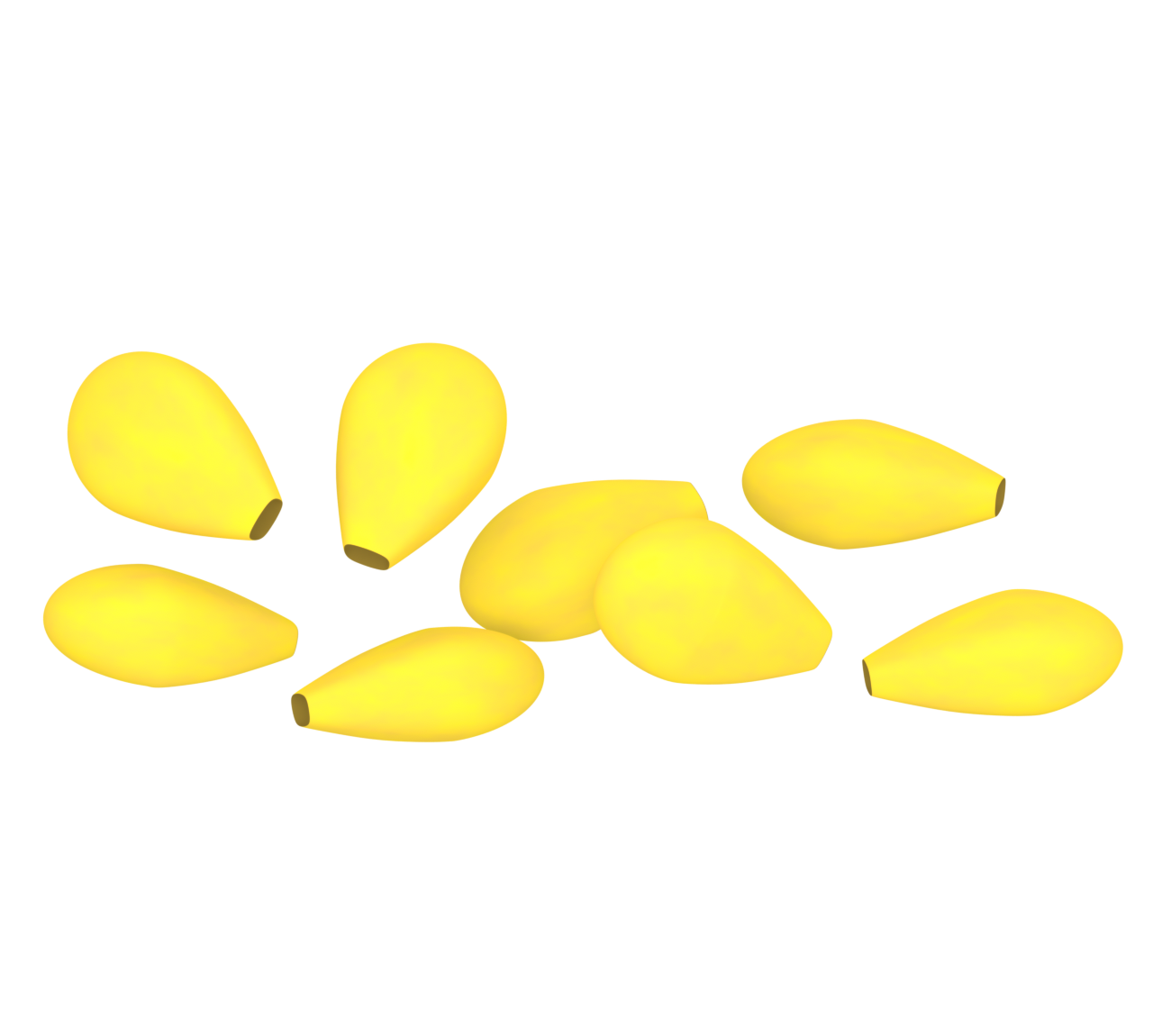 とうもろこしの粒のイラスト