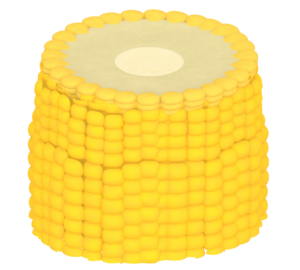 とうもろこしの輪切りのイラスト