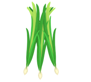 かわいいレモングラスのイラスト