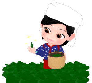 かわいい茶摘み娘のイラスト