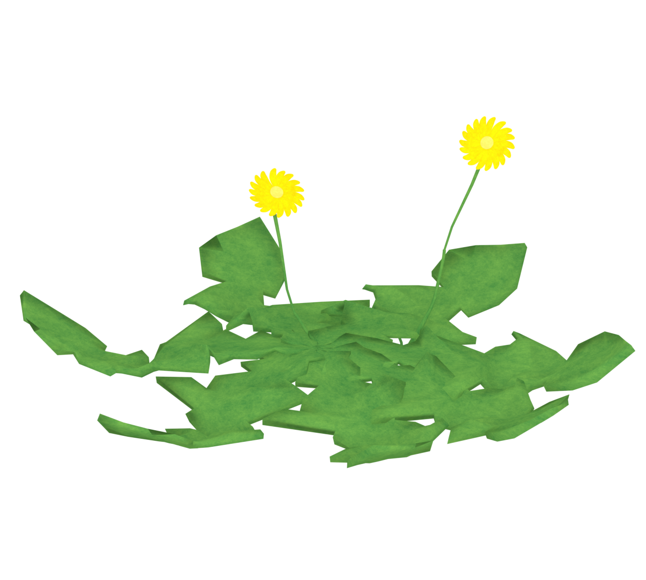 仏の座・ほとけのざのイラスト
