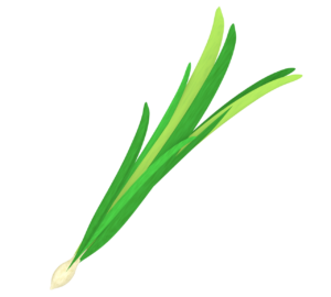 レモングラスのイラスト