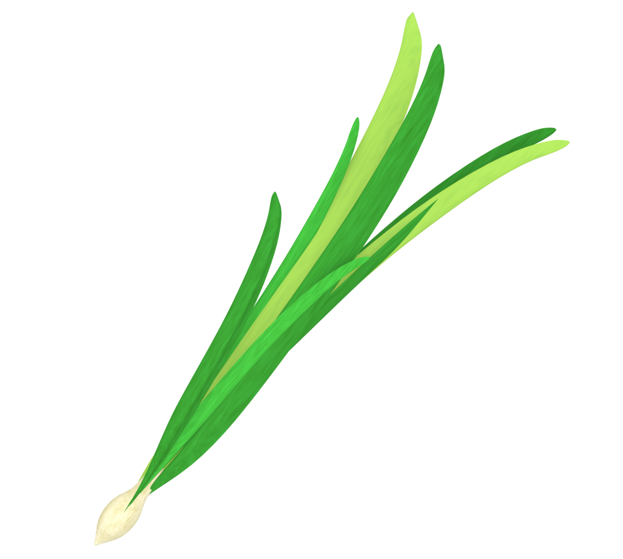 レモングラスのイラスト