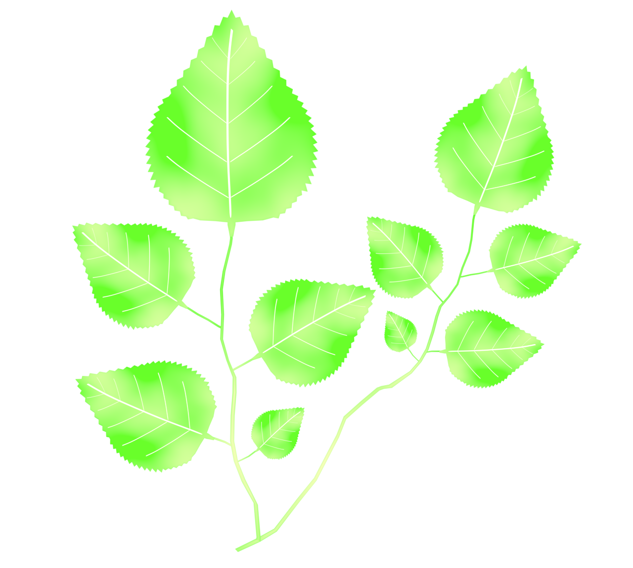 芹・せりのイラスト