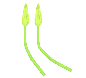 アスパラソバージュのイラスト