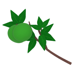 青色の枝付きみかんのイラスト