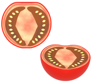 カットしたミニトマトのイラスト
