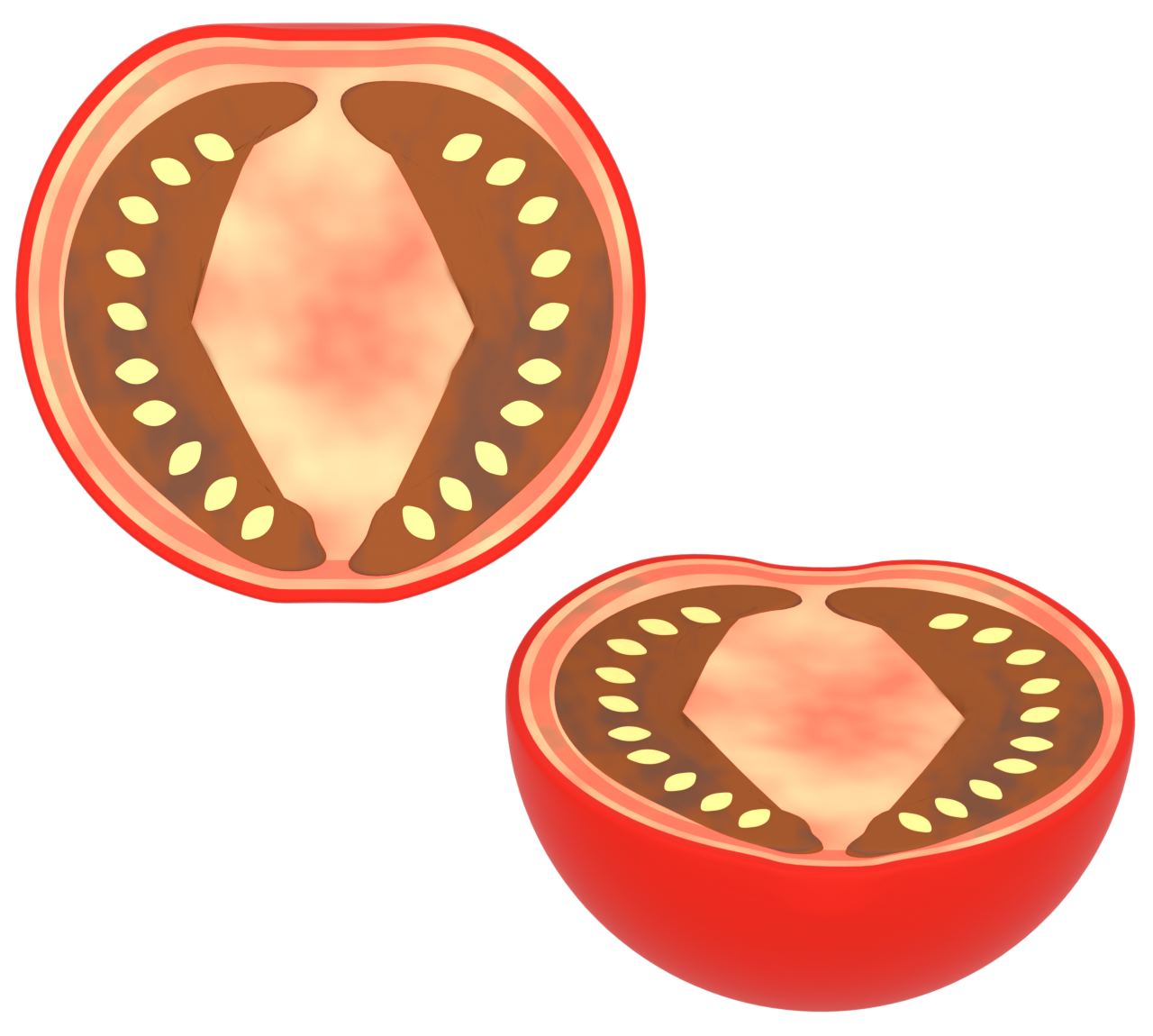 カットしたミニトマトのイラスト