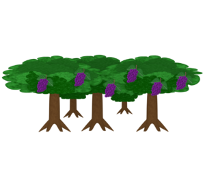 ぶどうの木のイラスト