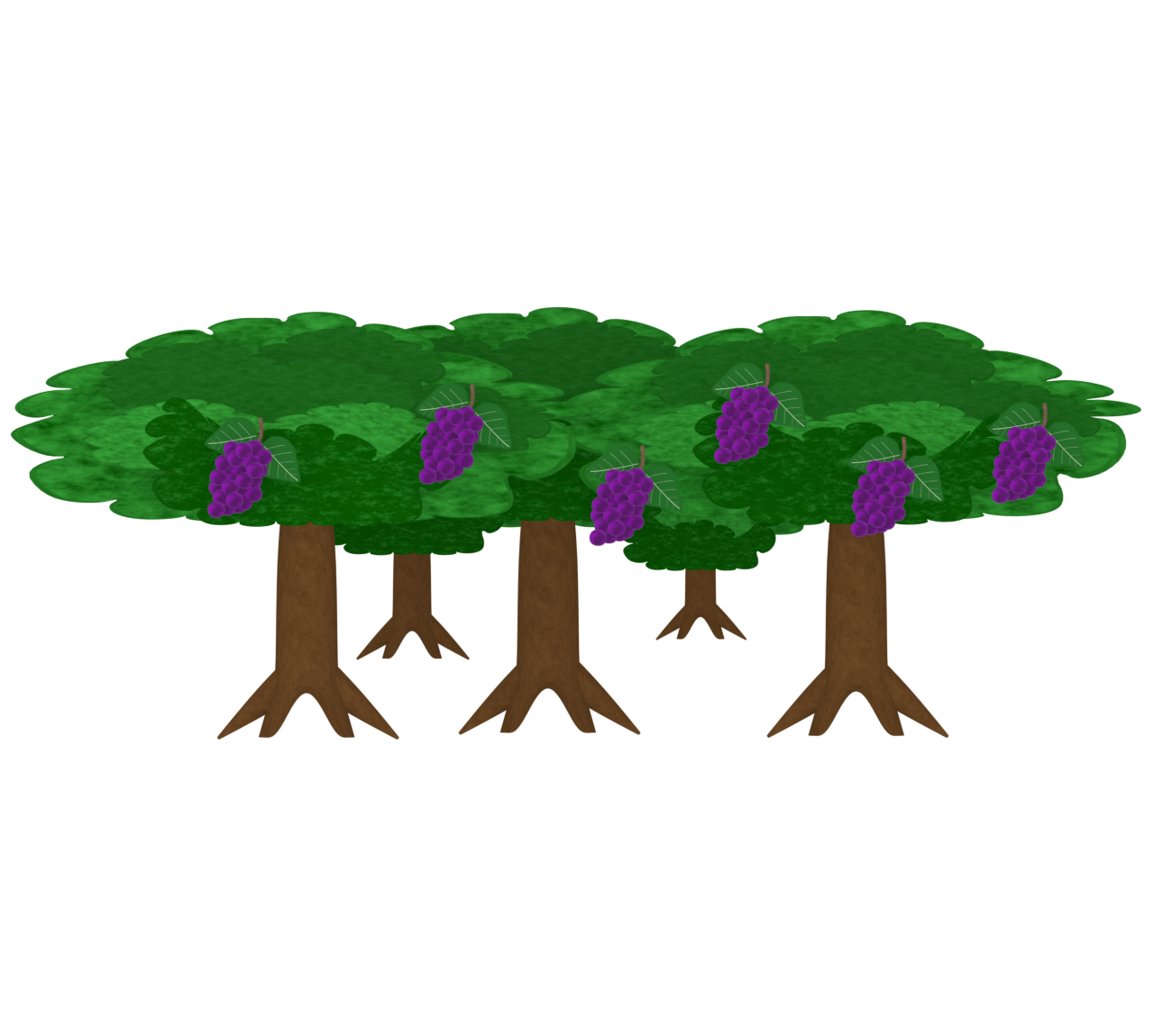 ぶどうの木のイラスト