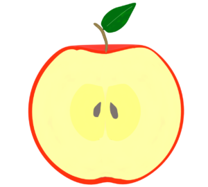 半分のりんごのイラスト