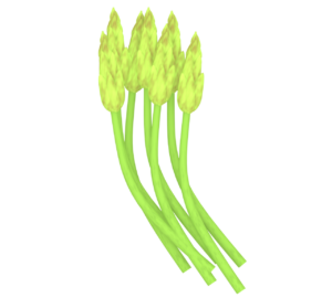たくさんのアスパラソバージュのイラスト