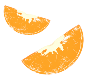 みかんの房のイラスト