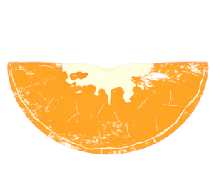 みかんの粒のイラスト