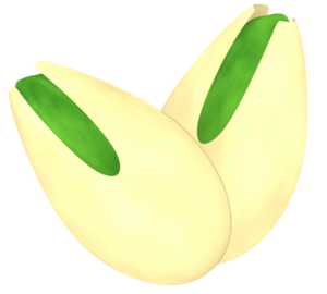 ピスタチオのイラスト