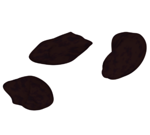 レーズンのイラスト