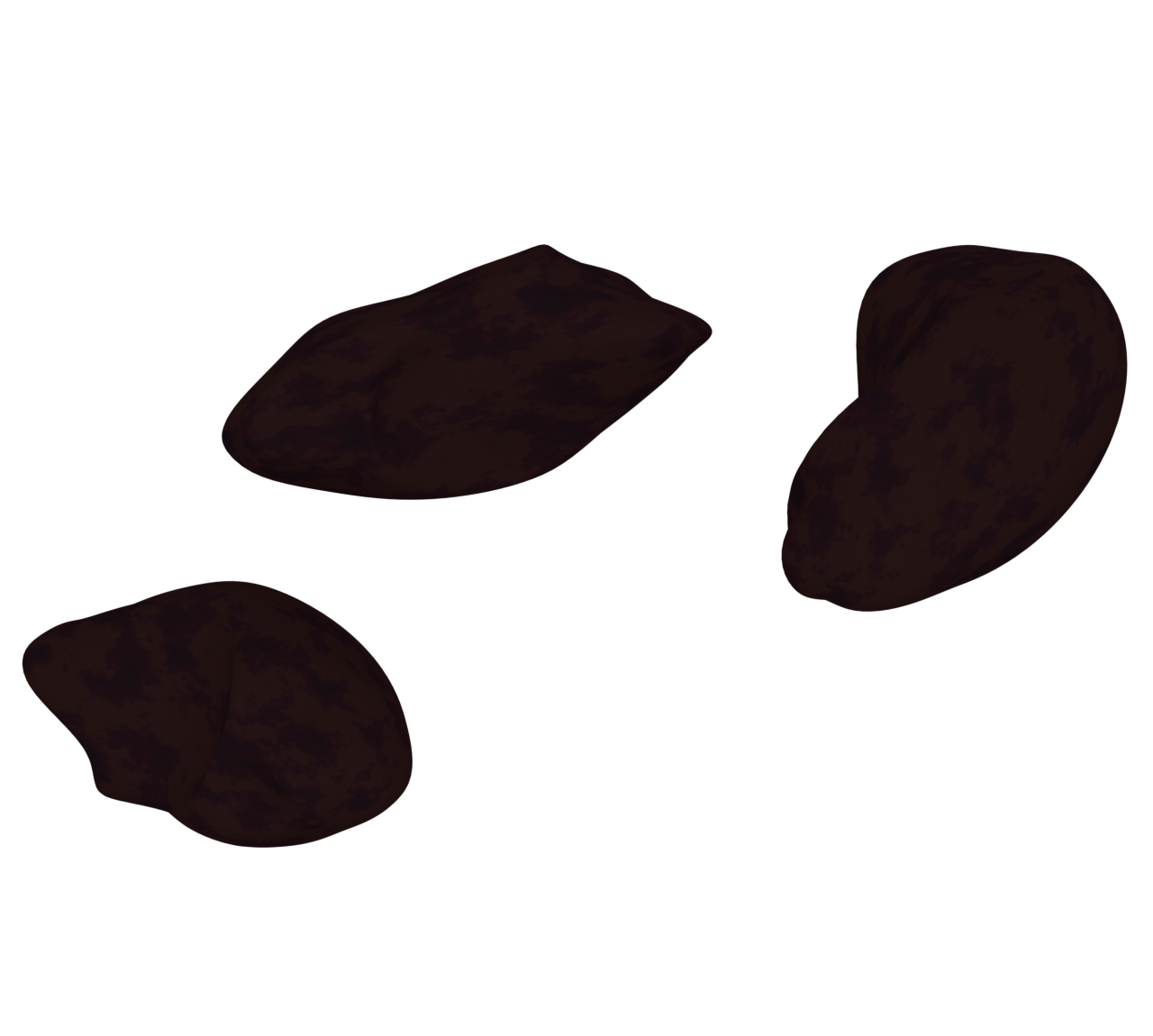 レーズンのイラスト