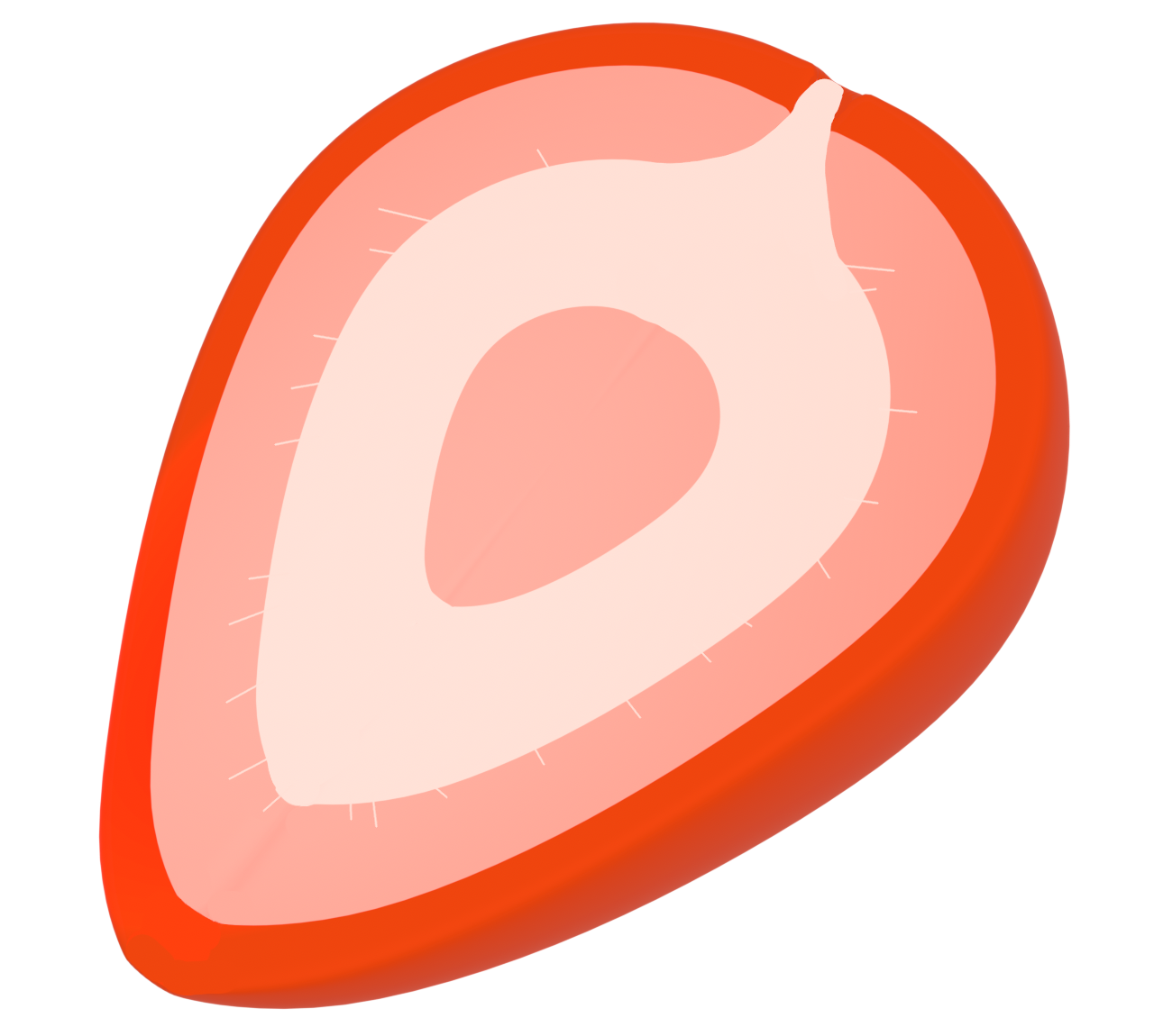 スライスした苺のイラスト