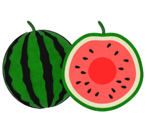 スイカの断面のイラスト