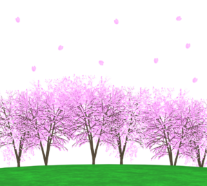 綺麗な桜並木のイラスト