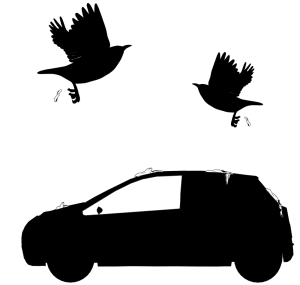 鳥のフンで汚れる自動車のシルエット
