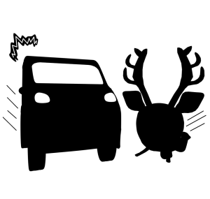 車の前に飛び出す動物のシルエット