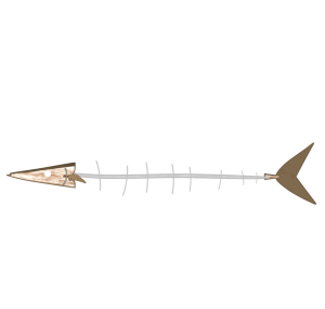 食べた後の魚の骨のイラスト