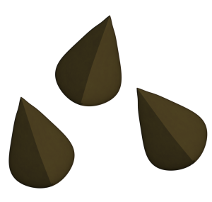 そばの実のイラスト