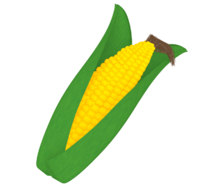 とうもろこしのひげのイラスト