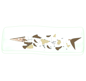 魚の食べ方が汚いイラスト