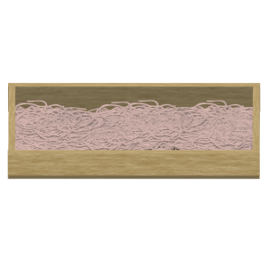 板そばのイラスト