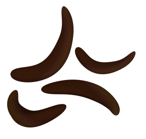 柿の種 チョコレートのイラスト