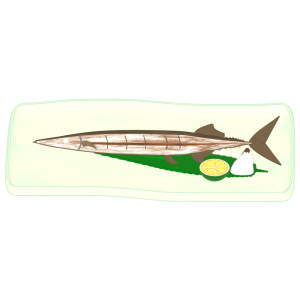 サンマの塩焼きのイラスト