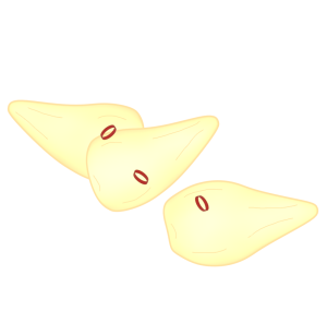 らっきょうのイラスト