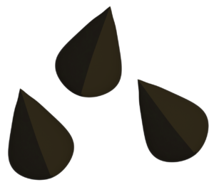 そばの実のイラスト