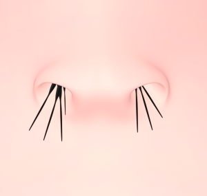 鼻毛のイラスト