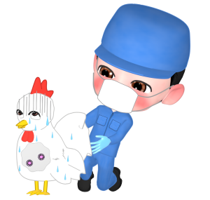 病気の鳥を見る畜産獣医師のイラスト