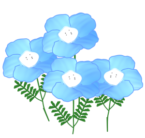 ネモフィラのイラスト