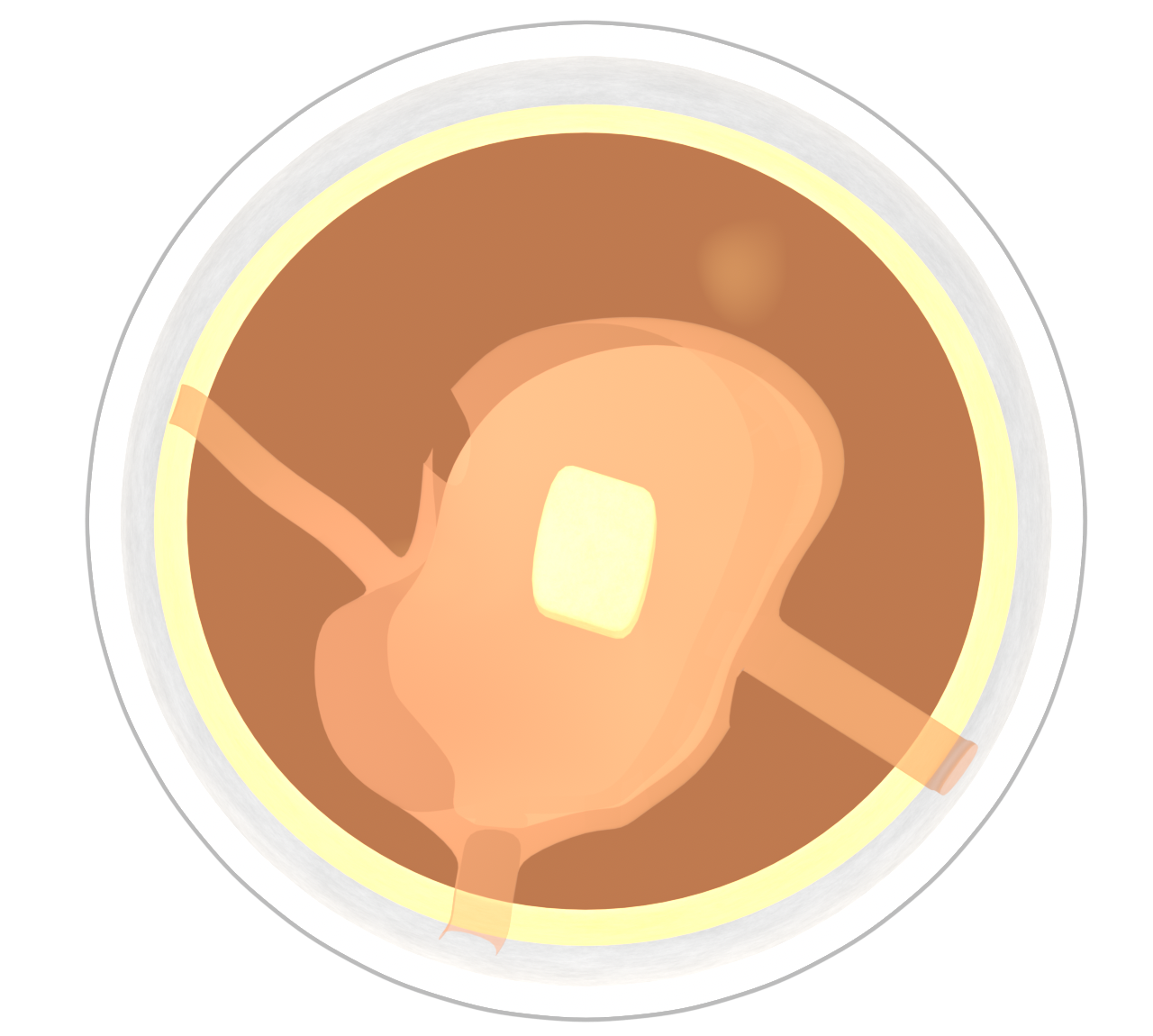 上から見たホットケーキのイラスト