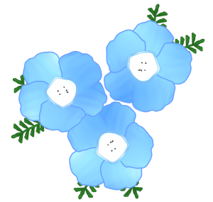 真上から見るネモフィラのイラスト