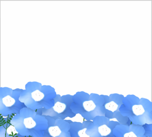 かわいいネモフィラの背景