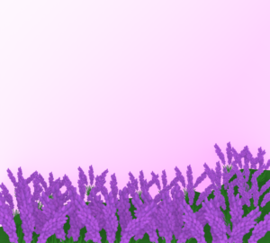 ラベンダー畑のイラスト