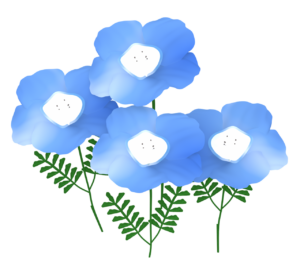 ネモフィラのイラスト