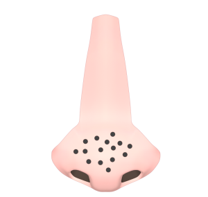 鼻の毛穴のイラスト