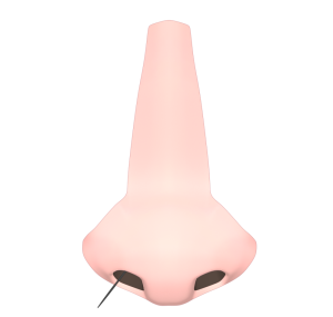 鼻から出る鼻毛のイラスト