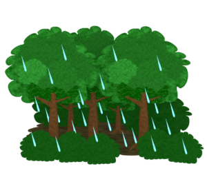 雨が降る森のイラスト