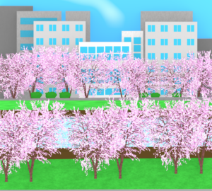 土手の桜のイラスト
