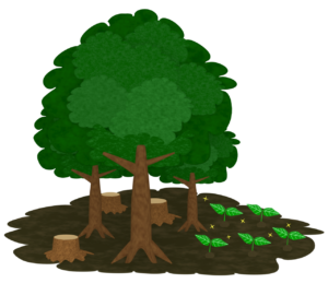 植樹のイラスト