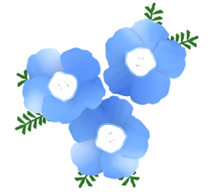 真上から見るネモフィラのイラスト
