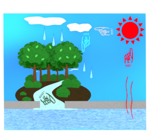 水の循環のイラスト